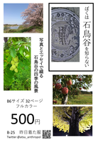 ぼくは石鳥谷を知らない