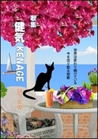 健気 KENAGE
