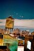 Brooklyn Nostalgia