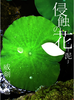 侵蝕の花 -泥-