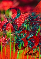 BLEND vo.4