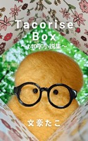 Tacorise Box2