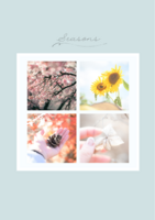 Seasons