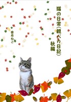猫の日常(親バカ日記)秋編