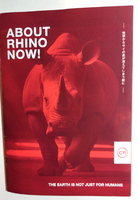 ABOUT RHINO NOW !