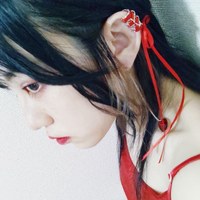 【受注制作】フェイクコルセットピアス
