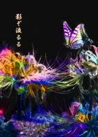 影ぞ流るる