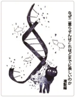 なぜ二重らせんはこれほどまでに美しいのか 複製編