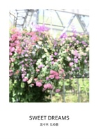 SWEET DREAMS