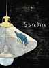 Satellite