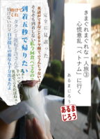 きまぐれまぐれな一人旅3 心慌意乱「ベトナム」に行く