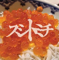 スシトミチ