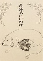 夫婦のいいわけ