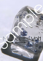Mineral Log Vol.1