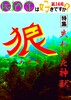 民俗学はすきですか? 第14号 特集「失われた神獣『狼』」