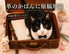 革のかばんに原稿用紙