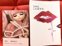写真詩集「ことばかり」