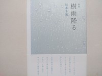 樹雨降る