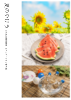 夏のかけら