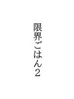 限界ごはん2
