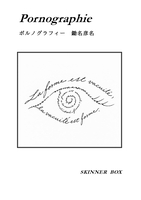 ポルノグラフィー