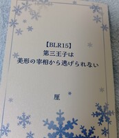 【ファンタジー BLR15】第三王子は、美形の宰相から逃げられない