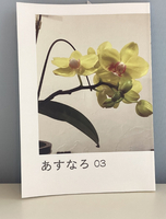 あすなろ03