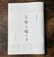 丁寧な嘘つき