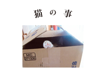 猫の事
