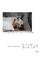 『征服されざる千年』試し読み&ねごとだより