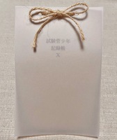 試験管少年記録帳Ⅹ