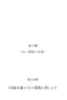 血の鏡ー白い部屋の兄弟ー