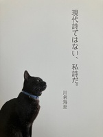 現代詩ではない、私詩だ。