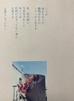 わすれたくにでまってます