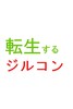 転生するジルコン