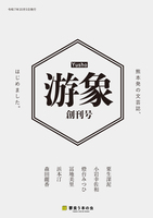 游象