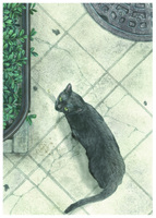 猫のいる現場