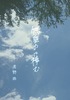 無重力に棲む