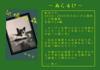 記憶の森