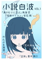 小説白波