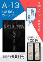 IN YOUR LIMINAL