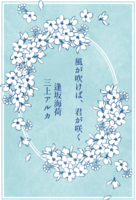 風が吹けば、君が咲く