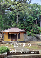 この螢の舞う神社で、君と。