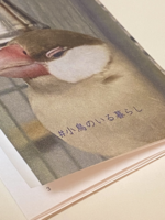 コトリガタリ Mセット