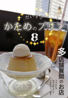 だいすきかためのプリン8
