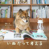 いぬだって考える