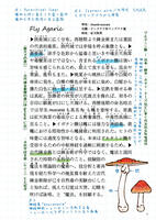 錬蒐帖2