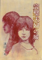 小説『完璧夫婦の城』