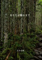 あなたが眠るまで