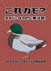 カモの神経衰弱カードゲーム